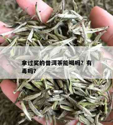 拿过奖的普洱茶能喝吗？有吗？