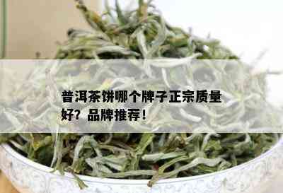 普洱茶饼哪个牌子正宗质量好？品牌推荐！