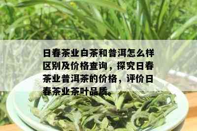 日春茶业白茶和普洱怎么样区别及价格查询，探究日春茶业普洱茶的价格，评价日春茶业茶叶品质。