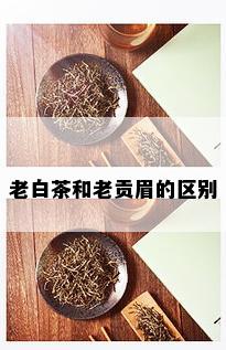 老白茶和老贡眉的区别