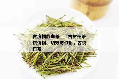 古度福鼎白茶——古树茶茶饼价格、功效与作用，古悦白茶