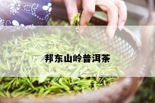 邦东山岭普洱茶