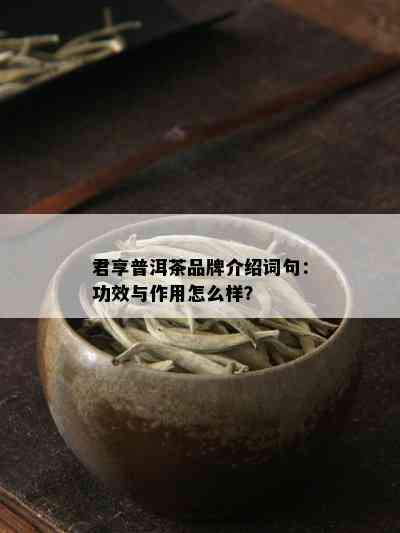 君享普洱茶品牌介绍词句：功效与作用怎么样？