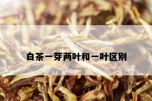 白茶一芽两叶和一叶区别