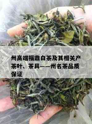 州高端福鼎白茶及其相关产茶叶、茶具——州名茶品质保证