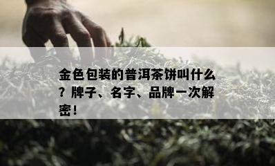 金色包装的普洱茶饼叫什么？牌子、名字、品牌一次解密！