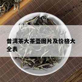 普洱茶大茶壶图片及价格大全表