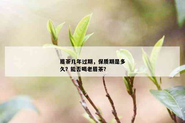 眉茶几年过期，保质期是多久？能否喝老眉茶？