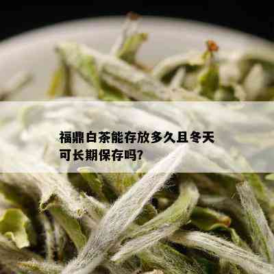 福鼎白茶能存放多久且冬天可长期保存吗？