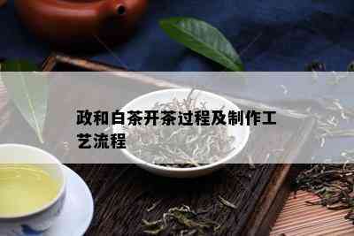 政和白茶开茶过程及制作工艺流程