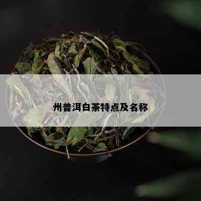 州普洱白茶特点及名称