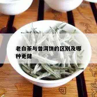 老白茶与普洱饼的区别及哪种更健