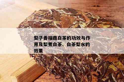 梨子香福鼎白茶的功效与作用及梨煮白茶、白茶梨水的效果