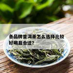 各品牌普洱茶怎么选择比较好喝且合适？