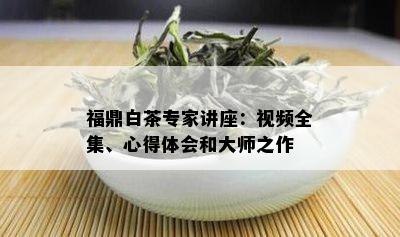 福鼎白茶专家讲座：视频全集、心得体会和大师之作