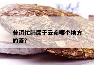 普洱忙肺属于云南哪个地方的茶？