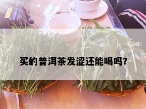 买的普洱茶发涩还能喝吗？