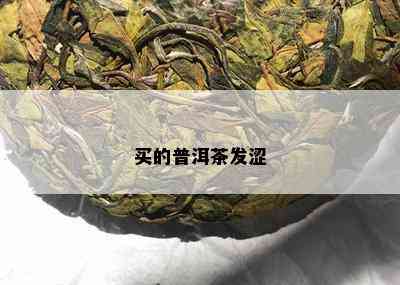 买的普洱茶发涩