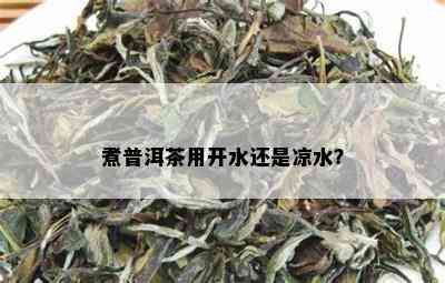 煮普洱茶用开水还是凉水？