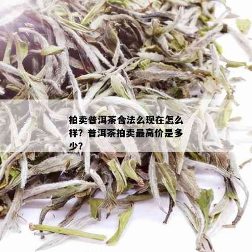 拍卖普洱茶合法么现在怎么样？普洱茶拍卖更高价是多少？