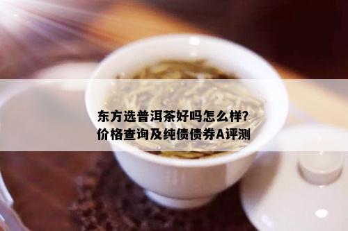 东方选普洱茶好吗怎么样？价格查询及纯债债券A评测