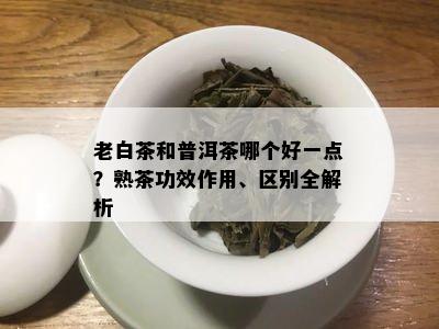 老白茶和普洱茶哪个好一点？熟茶功效作用、区别全解析