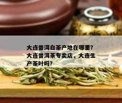 大连普洱白茶产地在哪里？大连普洱茶专卖店，大连生产茶叶吗？