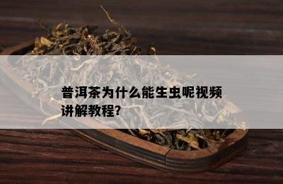 普洱茶为什么能生虫呢视频讲解教程？