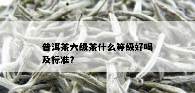 普洱茶六级茶什么等级好喝及标准？