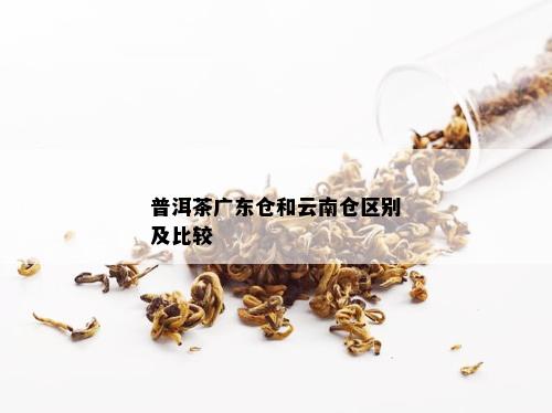 普洱茶广东仓和云南仓区别及比较