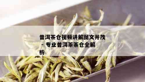 普洱茶仓视频讲解图文并茂 - 专业普洱茶茶仓全解析