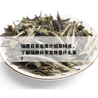 福鼎白茶龙珠介绍及特点，了解福鼎白茶龙珠是什么茶？