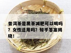 普洱茶是黑茶减肥可以喝吗？女性适用吗？知乎答案揭晓！