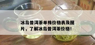 冰岛普洱茶单株价格表及图片，了解冰岛普洱茶价格！