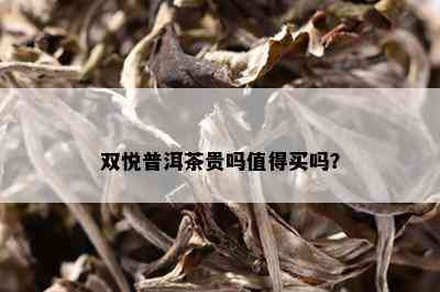 双悦普洱茶贵吗值得买吗？