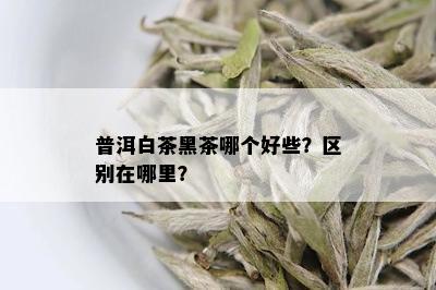 普洱白茶黑茶哪个好些？区别在哪里？