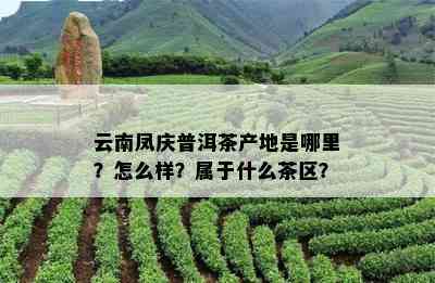 云南凤庆普洱茶产地是哪里？怎么样？属于什么茶区？