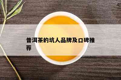 普洱茶的坑人品牌及口碑推荐