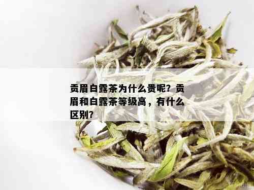 贡眉白露茶为什么贵呢？贡眉和白露茶等级高，有什么区别？