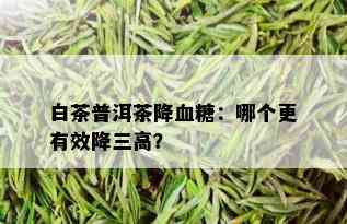 白茶普洱茶降血糖：哪个更有效降三高？