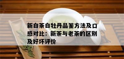 新白茶白牡丹品鉴方法及口感对比：新茶与老茶的区别及好坏评价