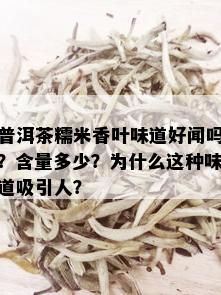 普洱茶糯米香叶味道好闻吗？含量多少？为什么这种味道吸引人？