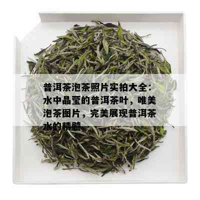 普洱茶泡茶照片实拍大全：水中晶莹的普洱茶叶，唯美泡茶图片，完美展现普洱茶水的精髓。