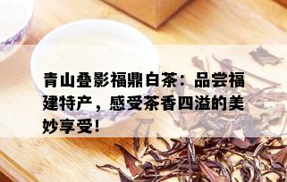 青山叠影福鼎白茶：品尝福建特产，感受茶香四溢的美妙享受！