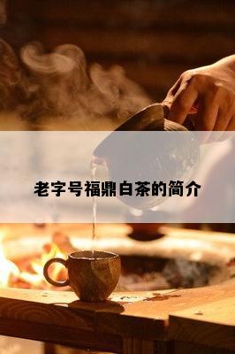 老字号福鼎白茶的简介