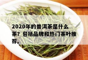 2020年的普洱茶是什么茶？包括品牌和热门茶叶推荐。