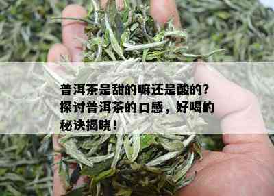 普洱茶是甜的嘛还是酸的？探讨普洱茶的口感，好喝的秘诀揭晓！