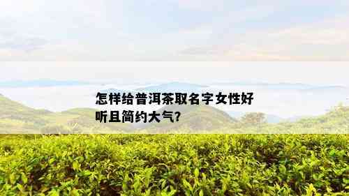 怎样给普洱茶取名字女性好听且简约大气？