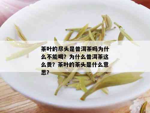 茶叶的尽头是普洱茶吗为什么不能喝？为什么普洱茶这么贵？茶叶的茶头是什么意思？