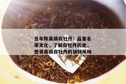 五年陈高级白牡丹：品鉴名茶文化，了解白牡丹历史，感受高级白牡丹的独特风味